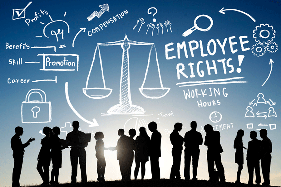 Employment Law